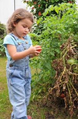 Tulum giymiş, elinde olgun bir domatesle bahçede duran bir çocuk.