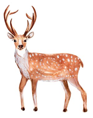 Boynuzlu geyikler ve suluboya resimli beyaz lekeler. Tasarım ve çizimler için şablon.