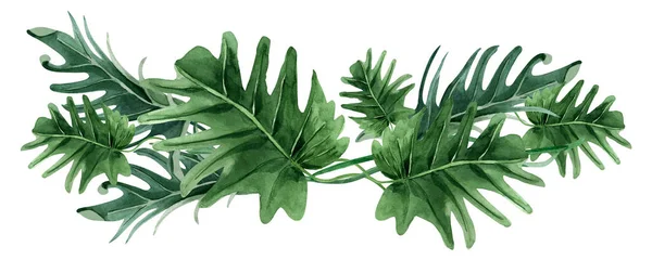 Aquarel Rand Laat Philodendron Frame Sjabloon Model Voor Het Decoreren — Stockfoto