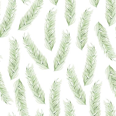 Tropikal palmiye ağacının narin dalları sulu boya desenleri. Tasarım ve çizimler için şablon.