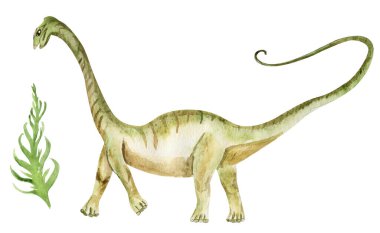 Dinozor suluboya elementi. Tasarım ve çizimler için şablon.