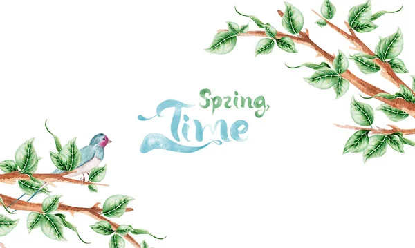 Frame Postcard Tree Twigs Swallow Spring Time Watercolor Illustration Template — Stock Photo, Image