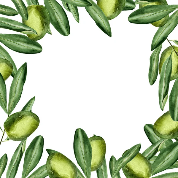 Πράσινες Ελιές Φύλλωμα Ακουαρέλα Τετράγωνο Πλαίσιο Πρότυπο Διακόσμησης Σχεδίων Και — Φωτογραφία Αρχείου