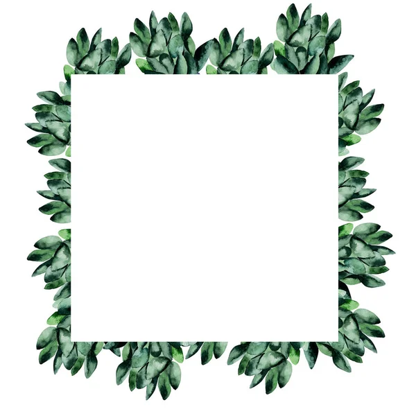 Green Watercolor Succulents Frame Template Decorating Designs Illustrations — Stock Photo, Image