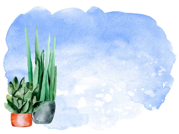 Háztartási Növény Cserépben Kék Akvarell Háttér Tervezési Minták Illusztrációk Mintája — Stock Fotó