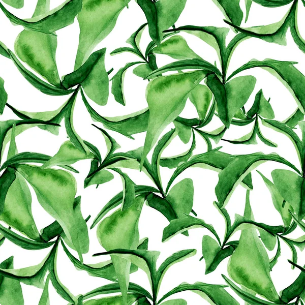 Liana Džungli Akvarel Hladký Vzor Šablona Pro Zdobení Návrhů Ilustrací — Stock fotografie