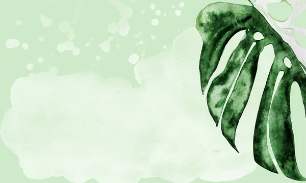 Monstera Лист Зеленый Акварельный Фон Брызгами Шаблон Оформления Дизайнов Иллюстраций — стоковое фото