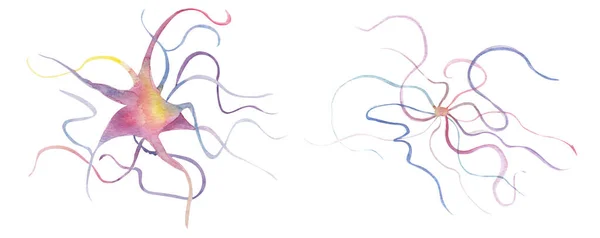 Neurony Abstrakcyjne Elementy Akwareli Zestaw Szablon Dekoracji Wzorów Ilustracji — Zdjęcie stockowe