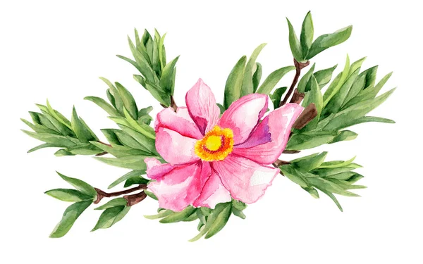 Rózsaszín Virág Között Ágak Akvarell Elszigetelt Illusztráció Tervezési Minták Illusztrációk — Stock Fotó