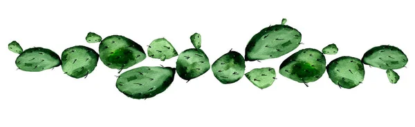 Bordo Acquerello Cactus Spinoso Modello Decorazione Disegni Illustrazioni — Foto Stock