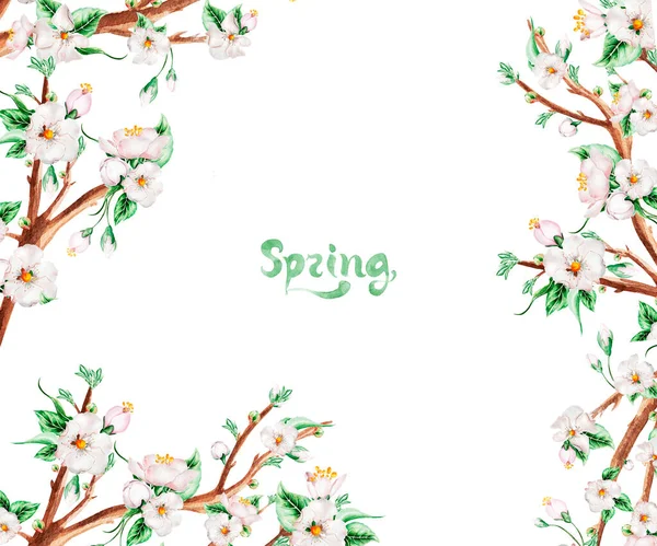 Wiosenne Kwiaty Ogrodzie Zaproszenie Ramki Akwarela Szablon Dekoracji Wzorów Ilustracji — Zdjęcie stockowe