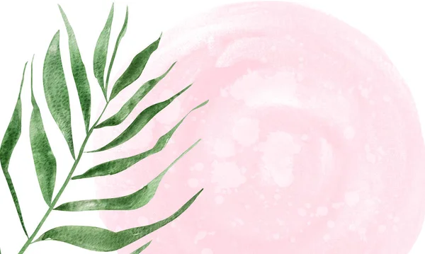 Twig Акварельный Фон Розовым Пятном Шаблон Оформления Дизайнов Иллюстраций — стоковое фото