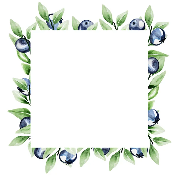 Watercolor Blueberry Leaves Frame Template Decorating Designs Illustrations — Stock Photo, Image