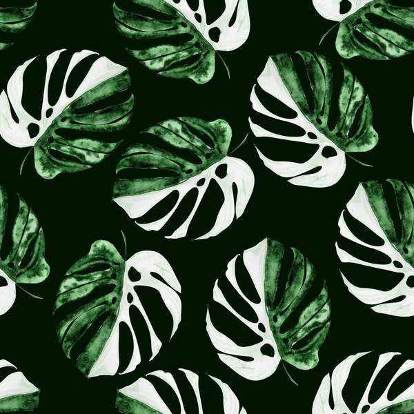 White Green Monstera Watercolor Seamless Pattern Template Decorating Designs Illustrations — Stock Photo, Image