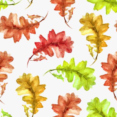 Parlak meşe, suluboya desenleri bırakır. Tasarım ve çizimler için şablon.