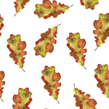 Meşe yaprakları kuru suluboya desenli. Tasarım ve çizimler için şablon.