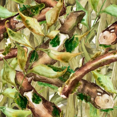 Yapraklar, dallar, çimenler, yosun ormanı kamuflajı sulu boya desenleri. Tasarım ve çizimler için şablon.