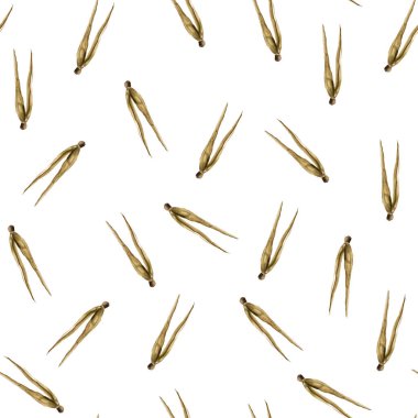 Kuru çam iğneleri sulu boya desenleri. Tasarım ve çizimler için şablon.