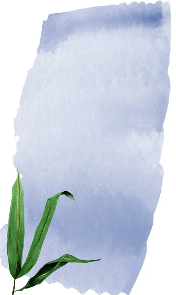 Bambus Opouští Pozadí Akvarelově Modré Skvrny Obloze Šablona Pro Zdobení — Stock fotografie