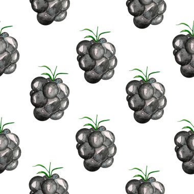 Böğürtlen suluboya kusursuz desen. Tasarım ve çizimler için şablon.