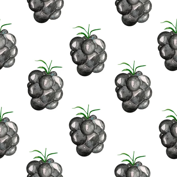 Böğürtlen suluboya kusursuz desen. Tasarım ve çizimler için şablon.