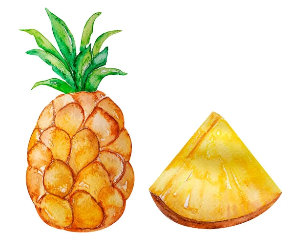 Juicy Pineapple Watercolor Isolated Element Template Decorating Designs Illustrations — Photo