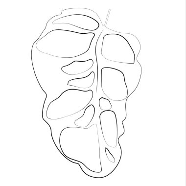 Tek canavar yaprak vektör elementi siyah çizgi.