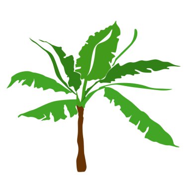 Muz ağacı vektörü tek element.