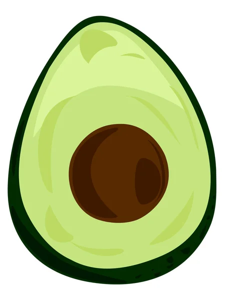 Avocado Pit Vector Illustration Element — 스톡 벡터