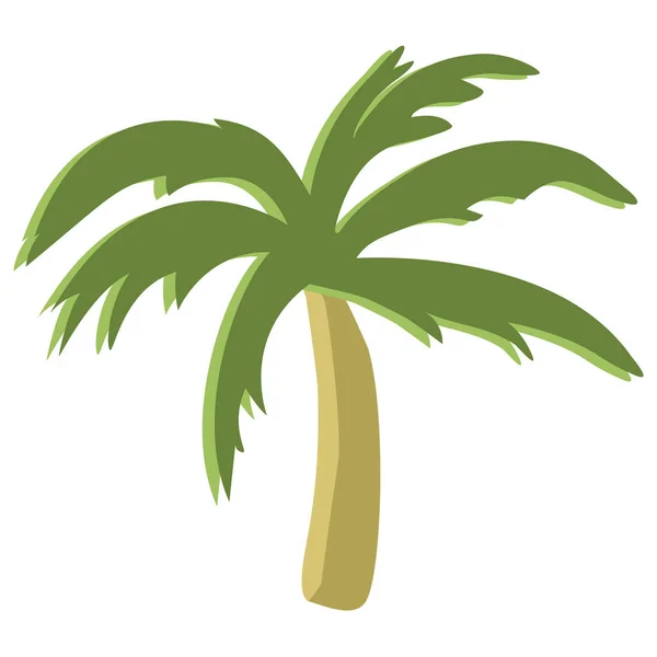 Palma Tropicale Vettoriale Illustrazione — Vettoriale Stock