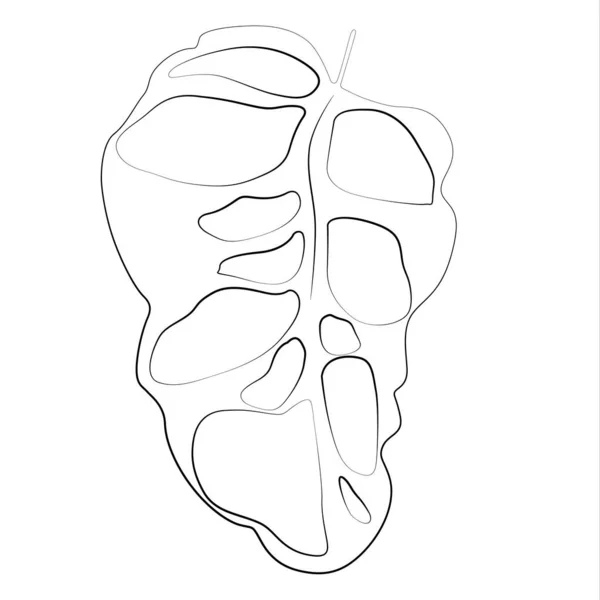Enkel Monstera Blad Vektor Element Svart Linje — Stock vektor