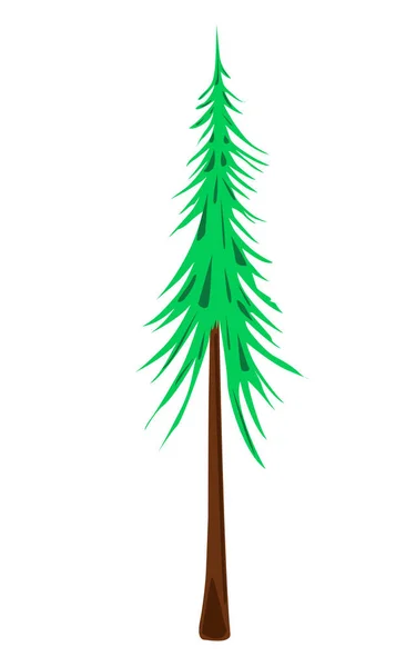 Tall Fir Tree Forest Vector Illustration — Image vectorielle