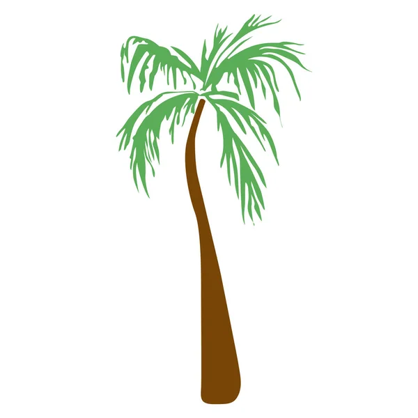 Tropics Tall Palm Tree Vector Single Illustration — Stock Vector
