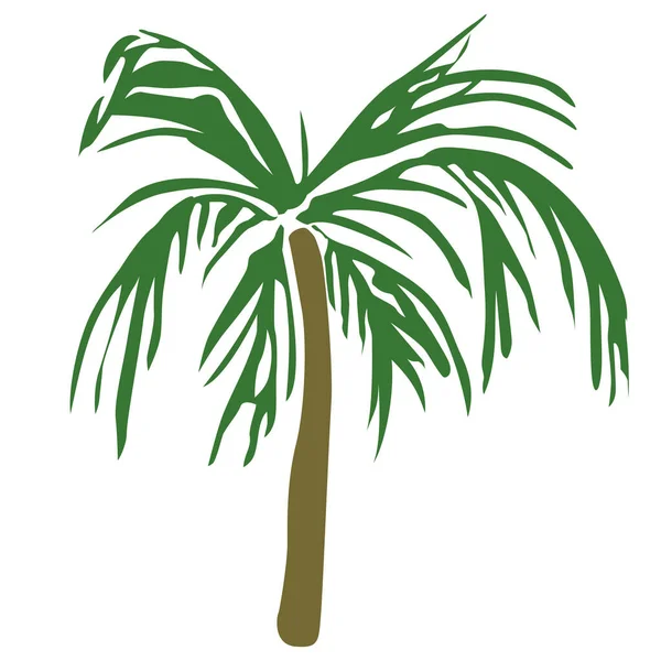 Tropische Palmbomen Vectorelementen — Stockvector