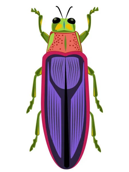 Chrysochroa Fulminans Firefly Cockroach Vector Illustration — 스톡 벡터