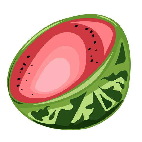 Half Watermelon Vector Single Illustration — Stock Vector