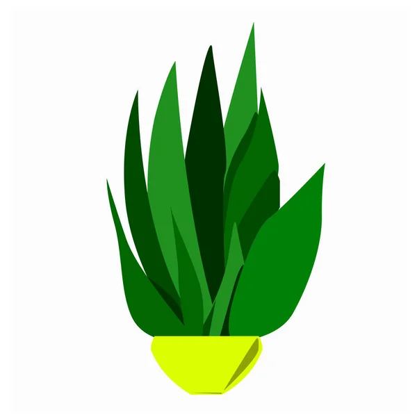 Succulent Yellow Pot Vector Illustration — Stock Vector