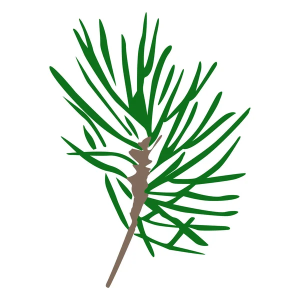 Pine Branch Silhouette Vector Single Illustration — Image vectorielle