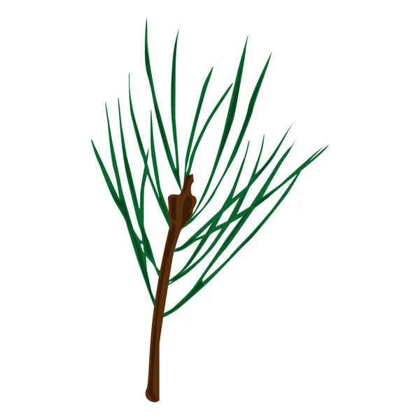 Pine Branch Needles Vector Single Illustration — Image vectorielle