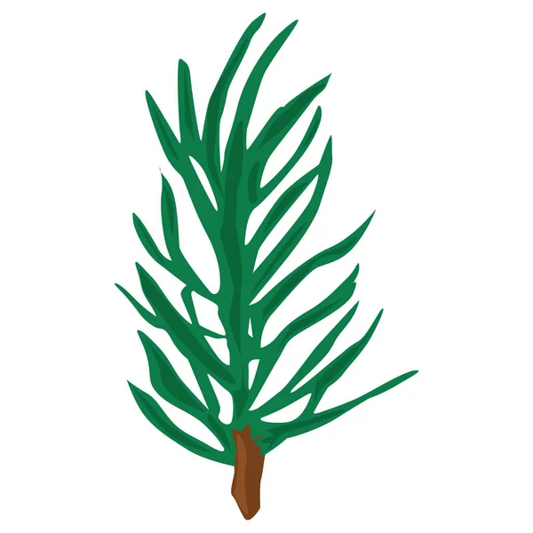 Fir Branch Vector Single Illustration — стоковый вектор