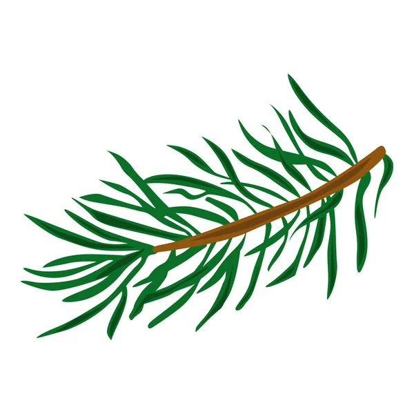 Vector Spruce Branch Single Illustration — vektorikuva