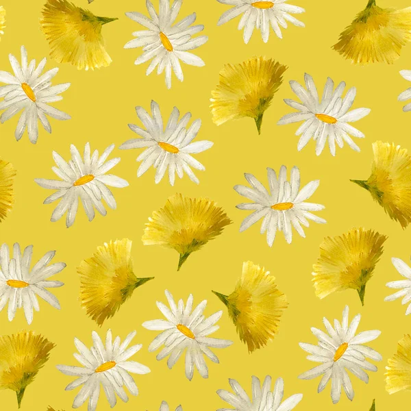 Dandelions Daisies Forest Watercolor Seamless Pattern Template Decorating Designs Illustrations — Foto de Stock
