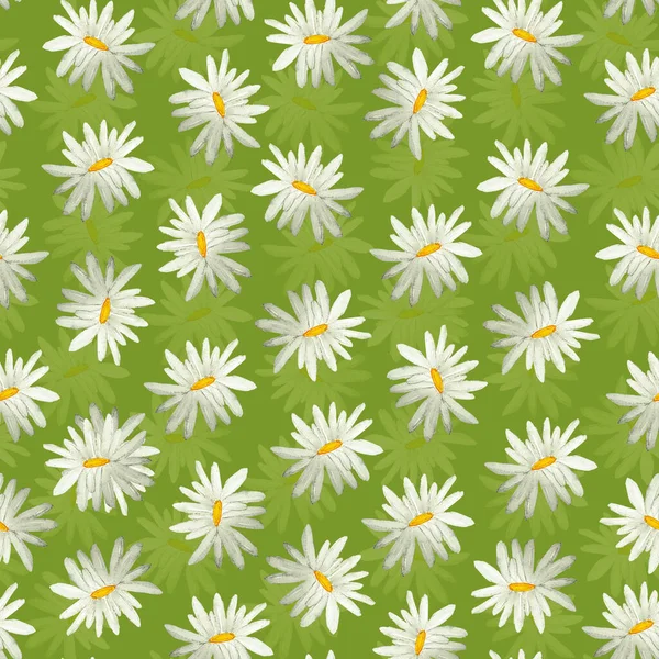 Daisies Green Meadow Watercolor Seamless Pattern Template Decorating Designs Illustrations — Photo