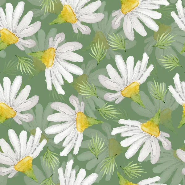 Chamomile Flowering Field Watercolor Seamless Pattern Template Decorating Designs Illustrations — Foto de Stock