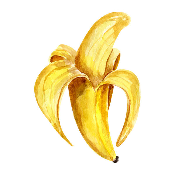 Векторная имитация акварели