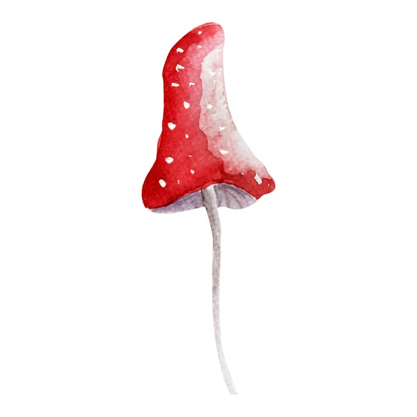 Fly Agaric Dry Forest Grebe Element Imitation Watercolor — 스톡 벡터