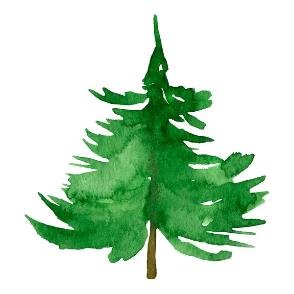Δέντρα Αειθαλής Απομίμηση Στοιχείο Ακουαρέλα — Διανυσματικό Αρχείο