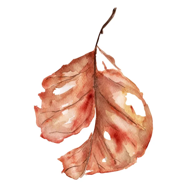 乾燥した枯れた葉の模倣水彩 — ストックベクタ