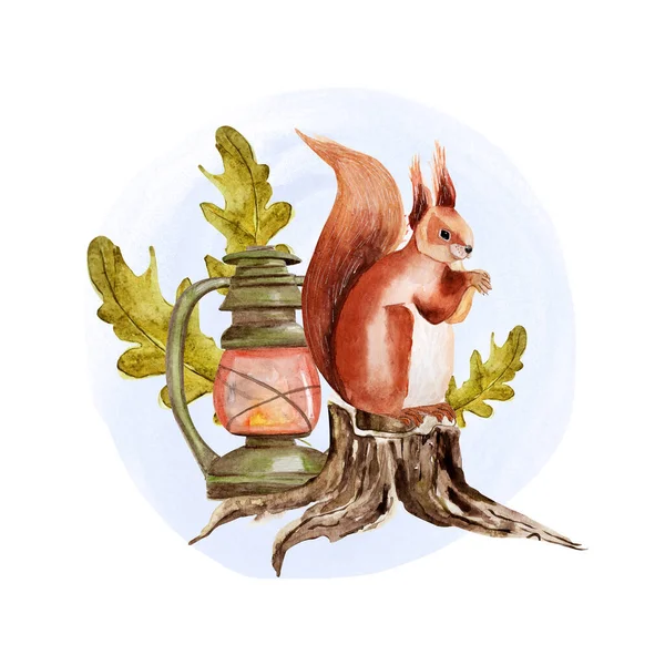 Squirrel Forest Stump Old Lamp Oak Leaves Watercolor Collage — Stock fotografie