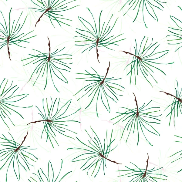 Branch Rounded Pine Gouache Watercolor Seamless Pattern Template Decorating Designs —  Fotos de Stock